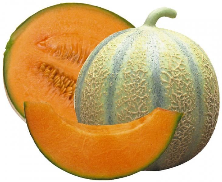 Melon Frais Kg